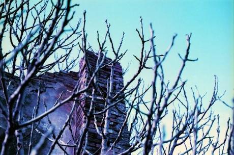 PURPLE Ruins - Lomography LomoChrome Purple XR 100-400 FIRS ROLL pt. 1