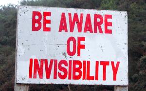 signinvisibility