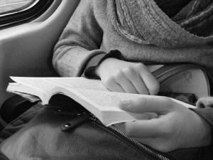 LIBRO IN TRENO