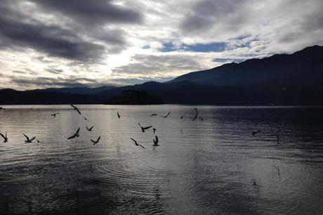 Gabbiani al tramonto sul lago