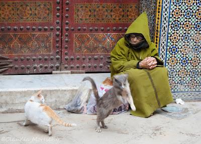 Fes: la più brulicante e affascinante delle città imperiali del Marocco