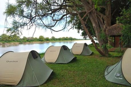 Il mio safari nel South Luangwa National Park in Zambia