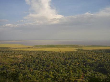 I parchi della Tanzania del nord: una meraviglia!