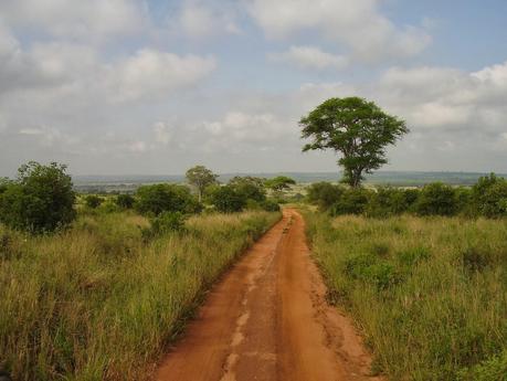 I parchi della Tanzania del nord: una meraviglia!