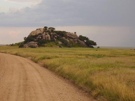 I parchi della Tanzania del nord: una meraviglia!