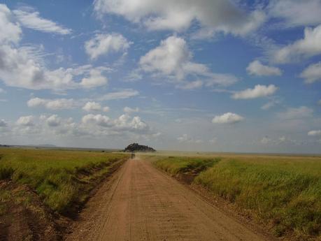 I parchi della Tanzania del nord: una meraviglia!