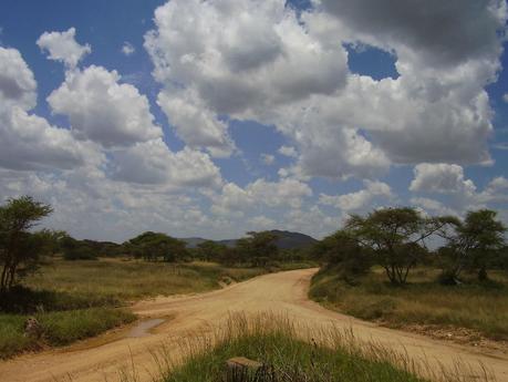 I parchi della Tanzania del nord: una meraviglia!