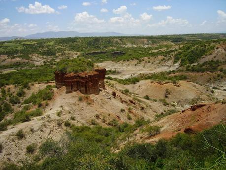 I parchi della Tanzania del nord: una meraviglia!