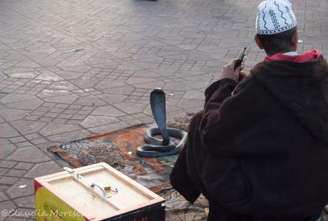 Ultima fermata: Marrakech. Visita alla medina