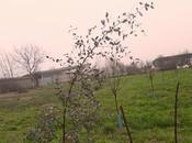 Arriva primavera........