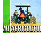 Abolizione Agricola. Buone notizie Menfi