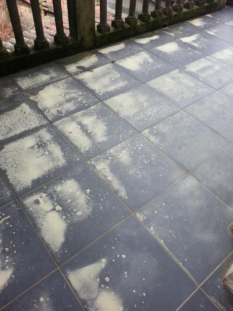 e adesso arriva il polline ...