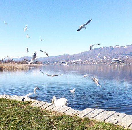 Vivere ai confini del lago