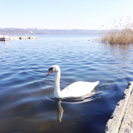 Vivere ai confini del lago