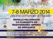 Streaming! Stanotte differita semifinali Coppa Italia femminile!