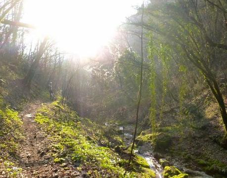 Vajo delle Cavazze ovvero...uscita mtb del 7/3, 2014