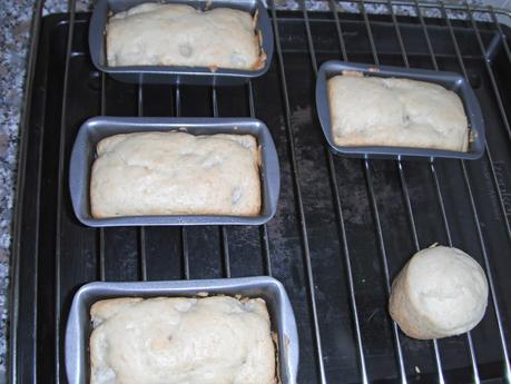 Mini cakes alla pera, cioccolato bianco e zenzero