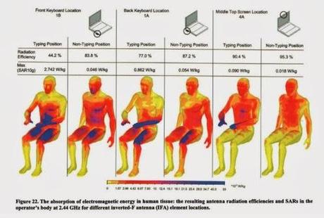 pericolo-wifi-wireless-onde-su-corpo-umano