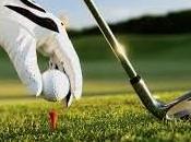 Marmori Scofferi vincono Golf