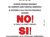 Sindacati: l’11 marzo sciopero generale comparto agricolo siciliano