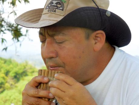 Miguel, il pifferaio magico