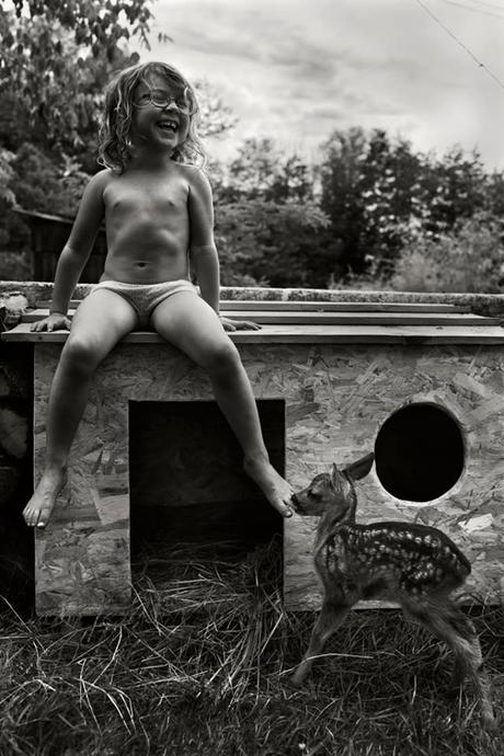 Alain Laboile 8