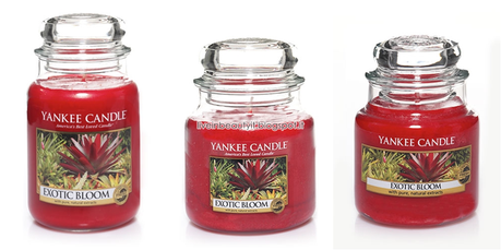 Yankee Candle, Exotic Escape Collection Spring 2014 - Preview