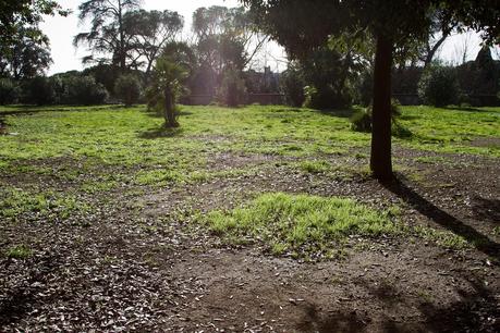 Tutto il triste di Villa Celimontana. Per chi non ci passa da tanto tempo, ecco le immagini di una villa ridotta nello sciattume e nella trasandatezza