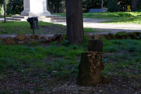 Tutto il triste di Villa Celimontana. Per chi non ci passa da tanto tempo, ecco le immagini di una villa ridotta nello sciattume e nella trasandatezza