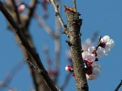 colori prima della primavera