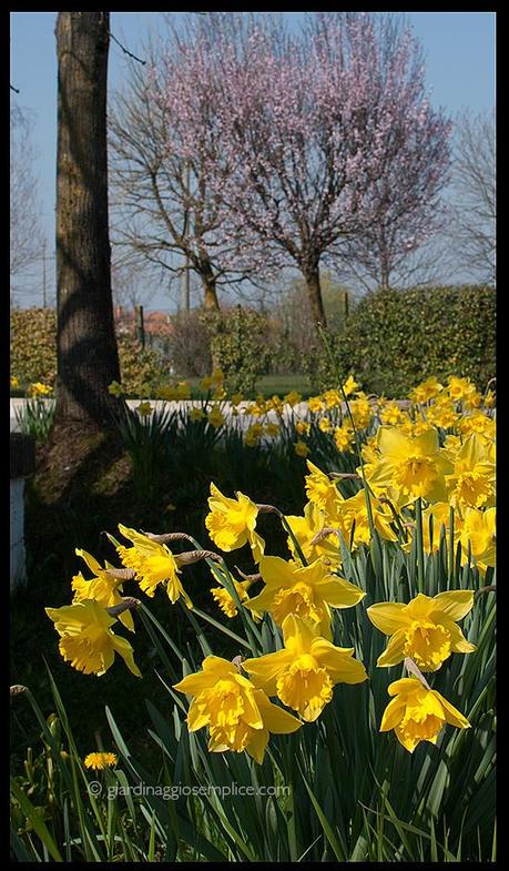 I colori prima della primavera