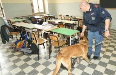 cani-polizia-antidroga