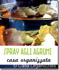 Spray pulitutto fai da te riciclando bucce di agrumi - Casa Organizzata