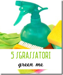 5 Sgrassatori universali fai da te - Green Me