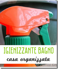 Igienizzante Bagno fai da te - Casa Organizzata
