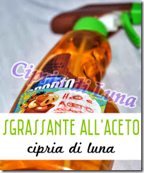Sgrassante all'Aceto - Cipria di Luna