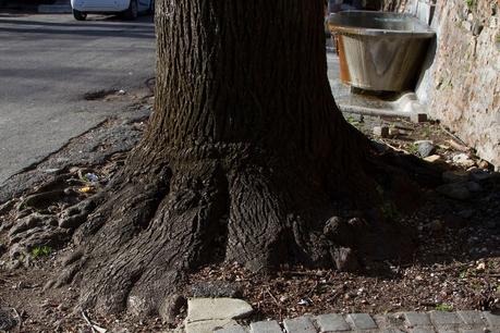 Tutto il triste del Giardino degli Aranci. Per chi non ci passa da tanto tempo, ecco le immagini di una villa ridotta nello sciattume e nella trasandatezza