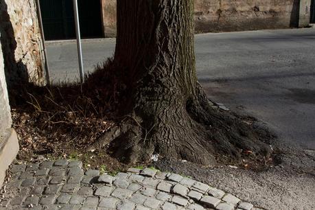Tutto il triste del Giardino degli Aranci. Per chi non ci passa da tanto tempo, ecco le immagini di una villa ridotta nello sciattume e nella trasandatezza