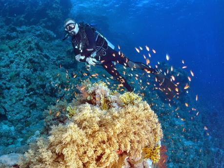 Vacanze tra le meraviglie del Mar Rosso