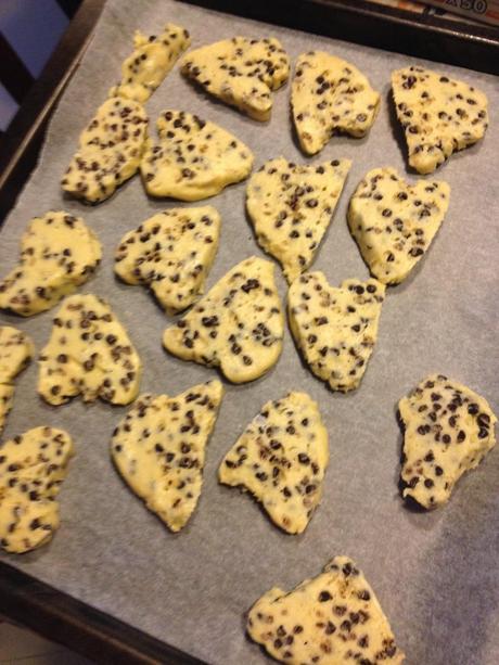 BISCOTTI CON ESUBERO DI PASTA MADRE