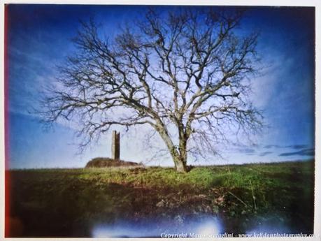 Pinhole Polaroid