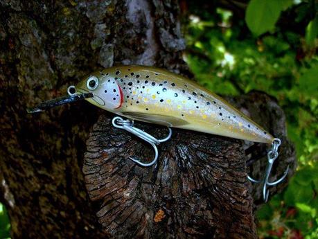 Meravigliosa livrea fario di Bojan Krstic - Spectacular brown trout coat by Bojan Krstic