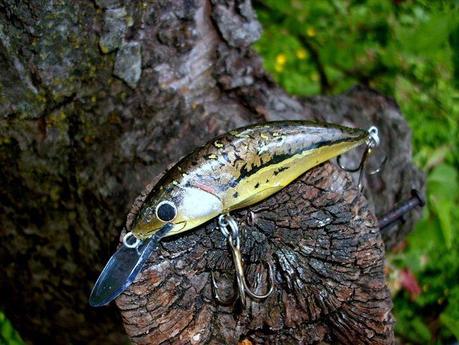 Particolare livrea autocostruito di Bojan Krstic - Particular coat of a selfmade lure by Bojan Krstic