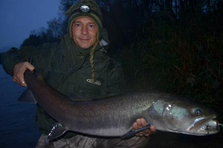 Splendido hucho preso con un'esca di Bojan Krstic - Fine hucho caught with a Bojan Krstic's lure