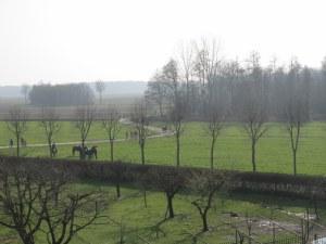 Il Parco del Ticino visto dal terrazzo dell'abbazia 