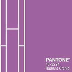 Trends| Radiant orchid.Iniziate ad allenare i vostri occhi.