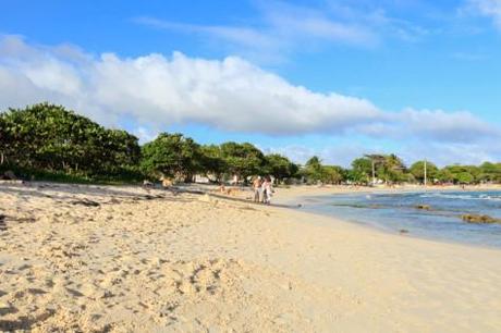 Guadeloupe 2012-04