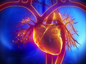 Conservazione cordone ombelicale: cellule staminali per il trattamento di patologie cardiache infantili