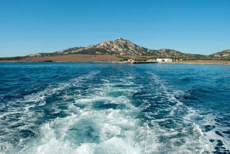 Asinara: memorie di un'isola