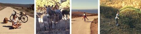 Asinara: memorie di un'isola